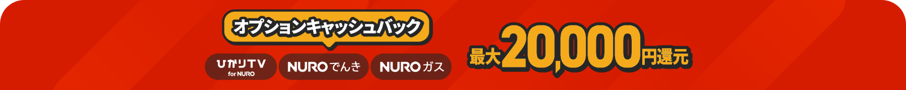 ひかりTV、NUROでんき、NUROガスが最大20,000円還元！