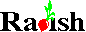 Radish