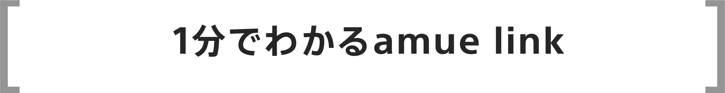 1分でわかるアミューリンク