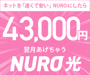 オンラインゲームでラグが起こる7つの原因とその解決方法は Nuro 光