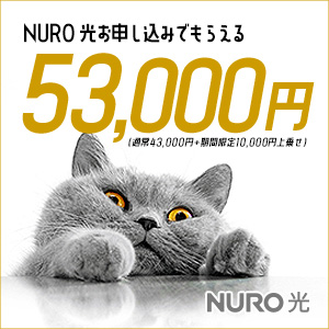 なんとNURO 光43000円キャッシュバック