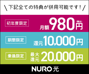 1年間980円～