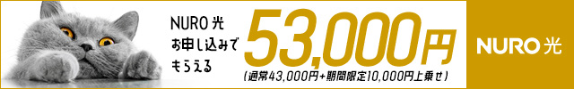 なんとNURO 光43000円キャッシュバック