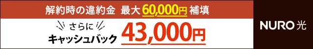 なんとNURO 光43000円キャッシュバック