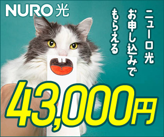 なんとNURO 光43000円キャッシュバック