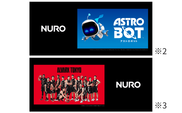 スペシャルデザインBOXの同梱物 その4