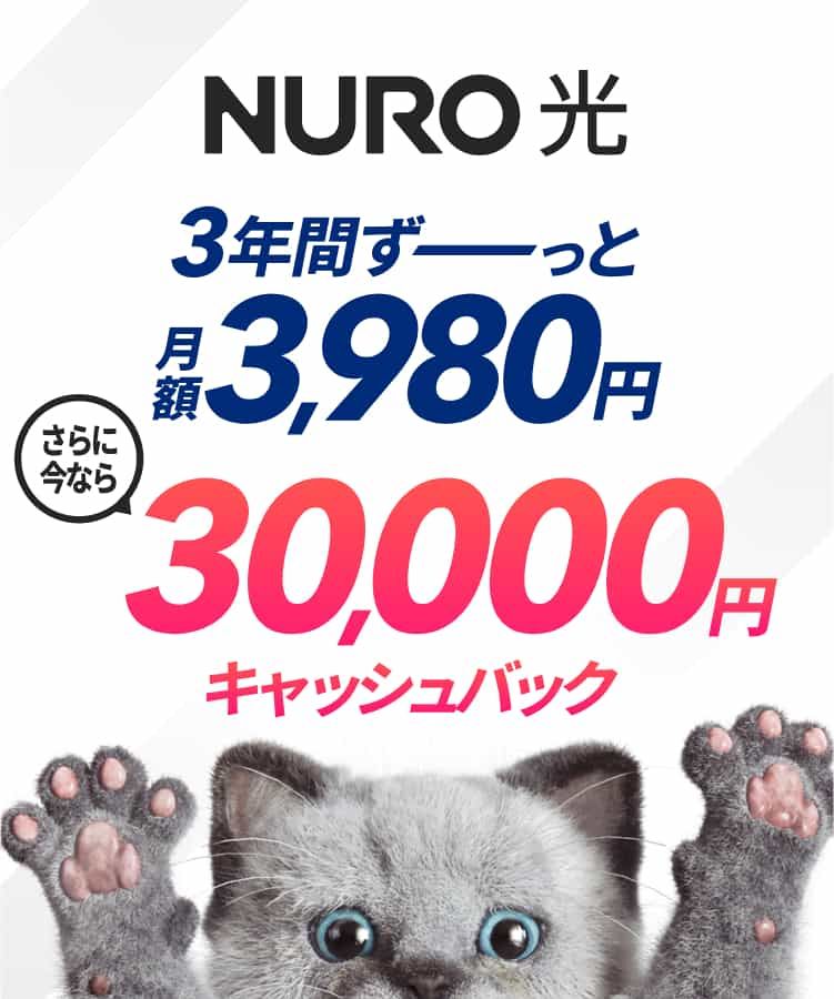 NURO 光　戸建てプラン　3年間ずーっと月額3,980円　　さらに今なら30,000円キャッシュバック