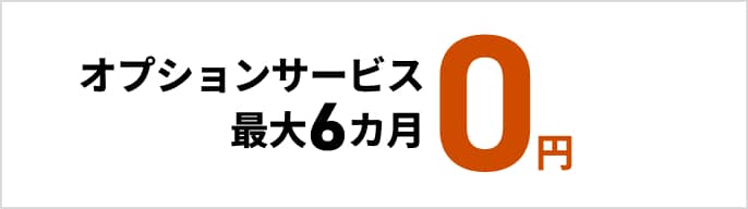 オプションサービス最大6か月間 0円　モーダルを開く
