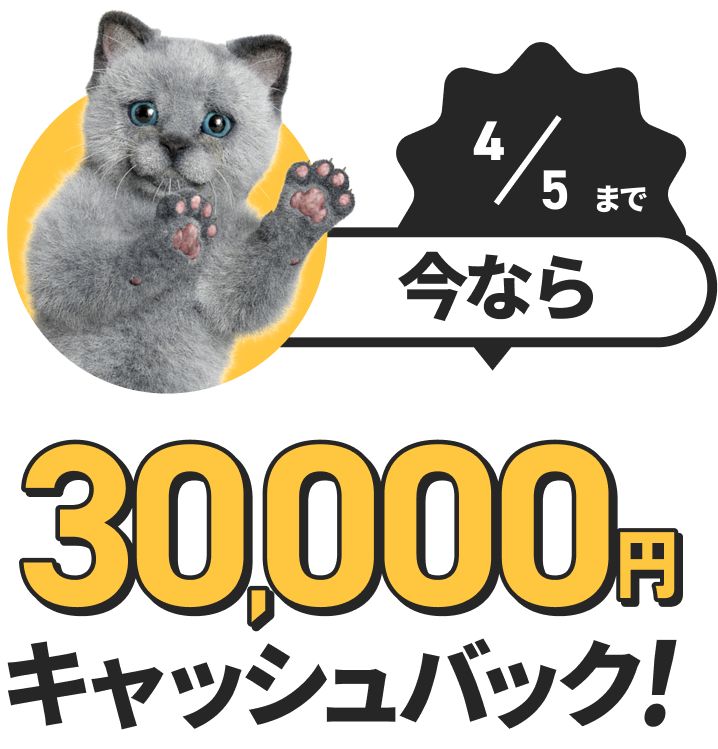 さらに今なら 30,000円キャッシュバック