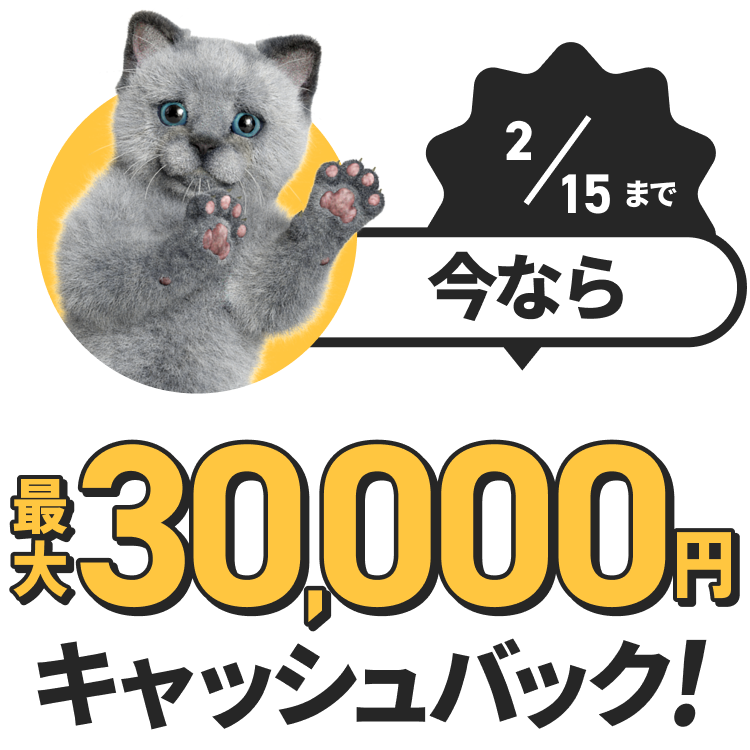 最大30,000円キャッシュバックについて