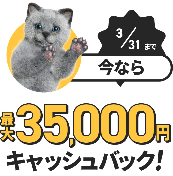 さらに今なら 最大35,000円キャッシュバック