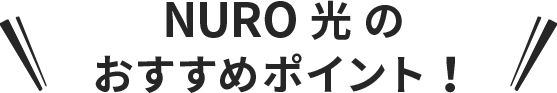 NURO 光 のおすすめポイント!