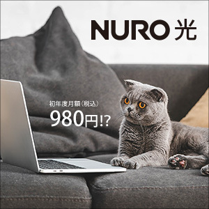1年間980円～