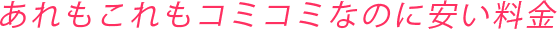 あれもこれもコミコミなのに安い料金