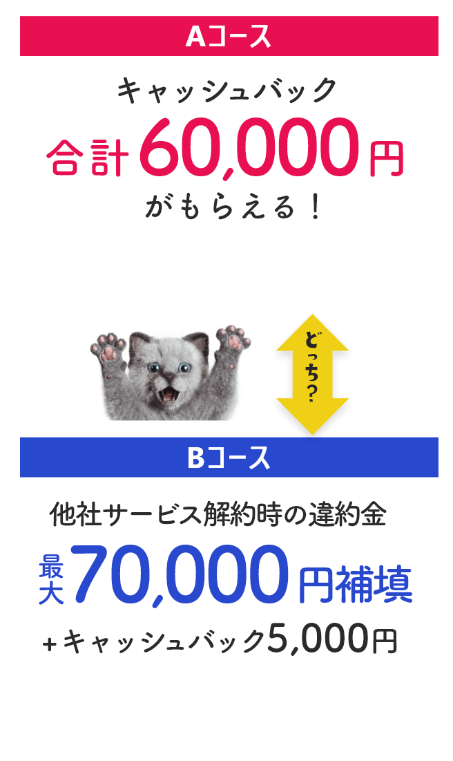 お申し込み特典