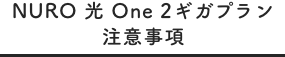 NURO 光 One 2ギガ プラン 注意事項