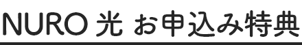 NURO 光 お申込み特典