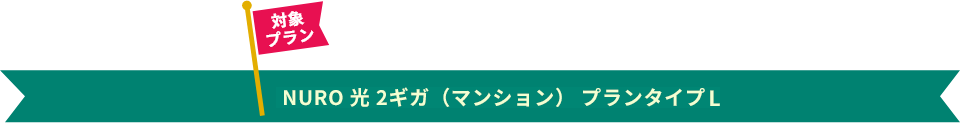 対象プラン NURO 光 2ギガ（マンション） プランタイプL