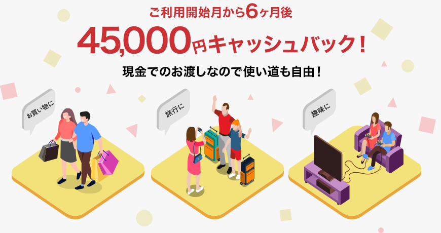 ご利用開始月から6ヶ月後に45,000円キャッシュバック！現金でのお渡しなので使い道も自由！