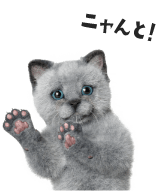 ニャーロ