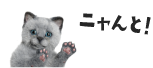 ニャーロ