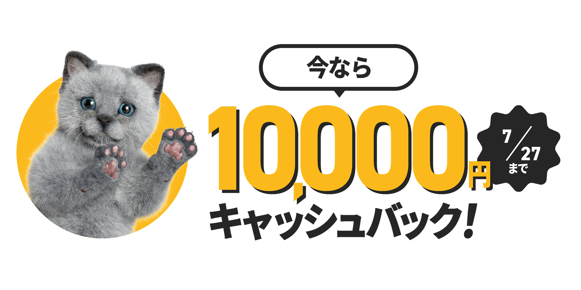 今なら 10,000円キャッシュバック