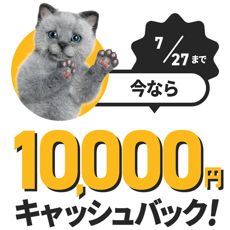 今なら 10,000円キャッシュバック