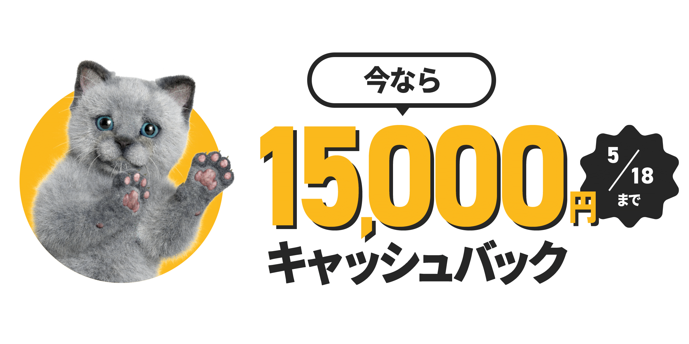 今なら 15,000円キャッシュバック
