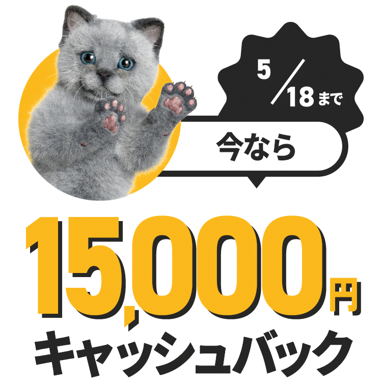今なら 15,000円キャッシュバック