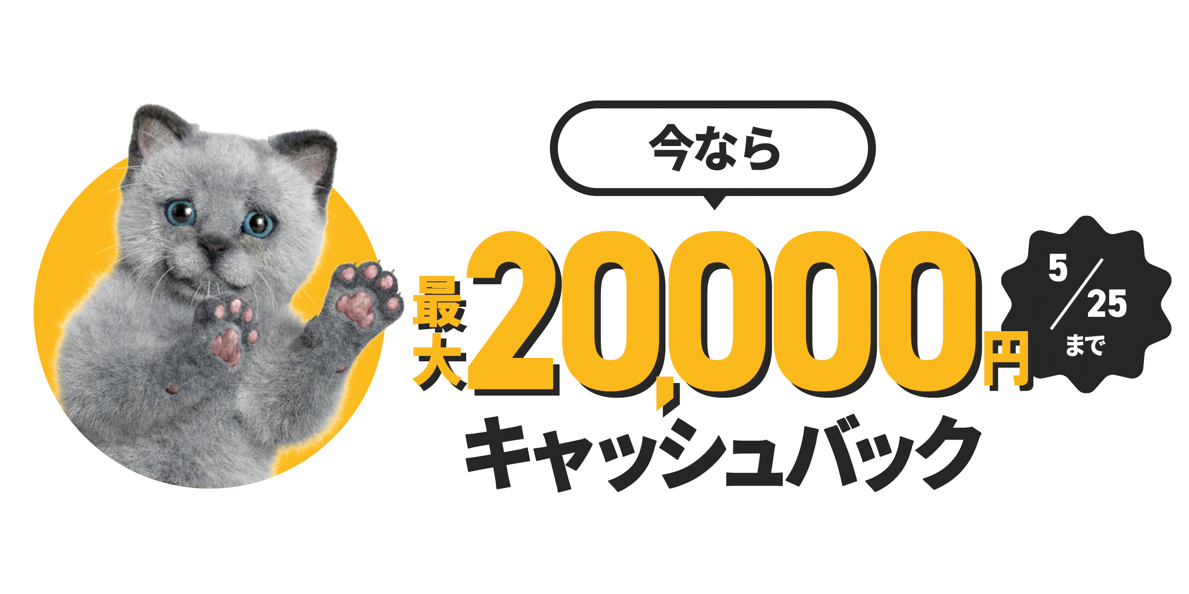 さらに今なら 最大20,000円キャッシュバック