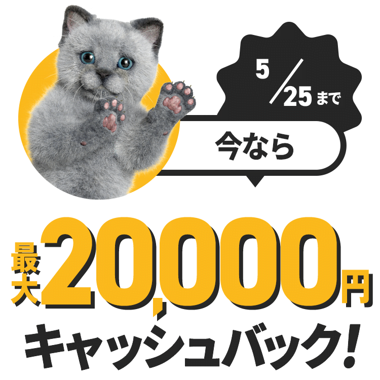 さらに今なら 最大20,000円キャッシュバック