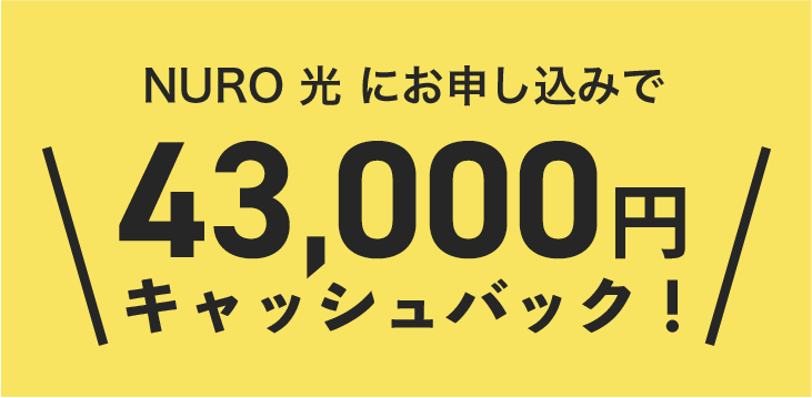 PlayStation®4も買える！4.3万円キャッシュバック！