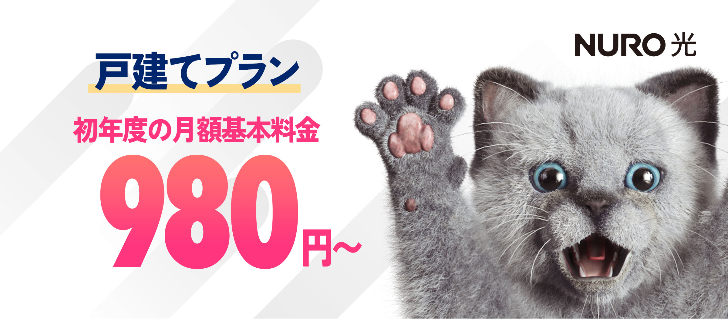 インターネットはNURO光