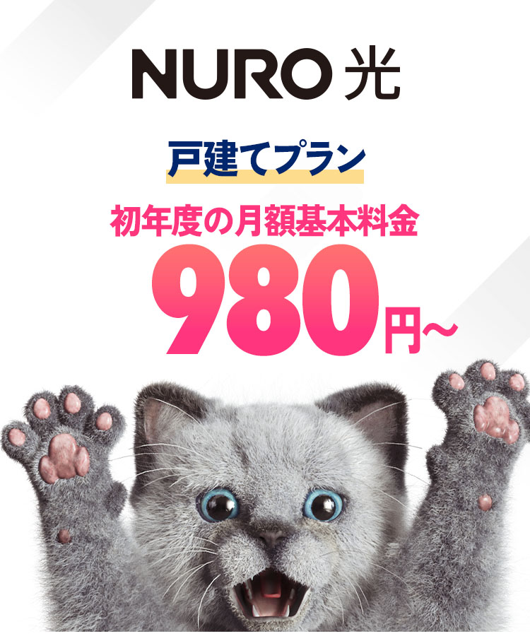 インターネットはNURO光