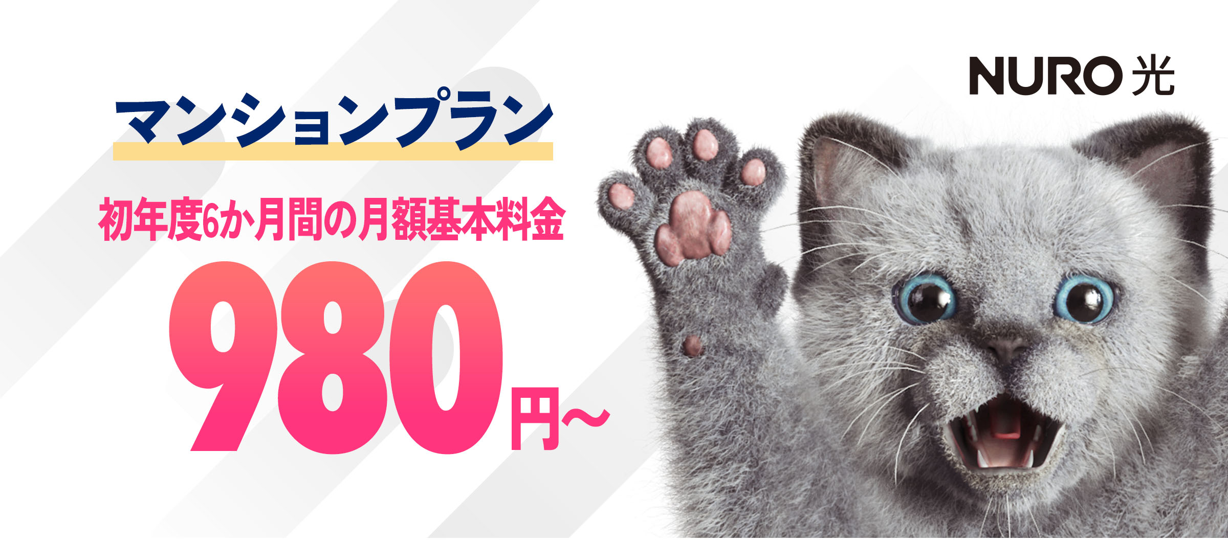 インターネットはNURO光