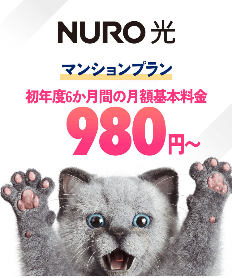 インターネットはNURO光