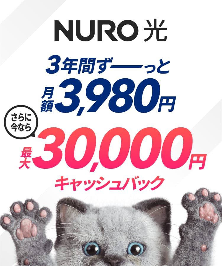 NURO 光　戸建てプラン　3年間ずーっと月額3,980円