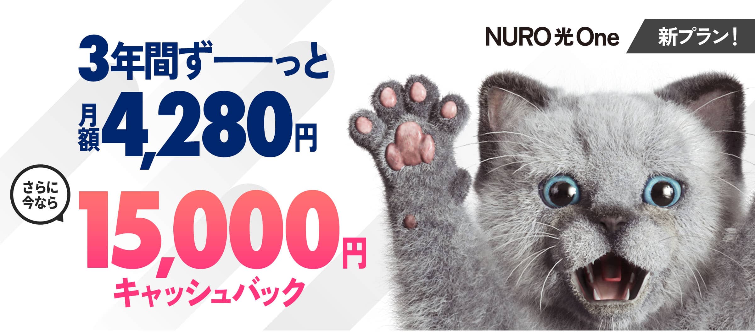 インターネットはNURO光