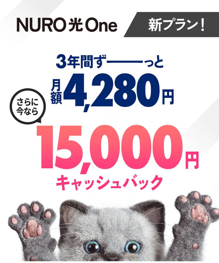 インターネットはNURO光