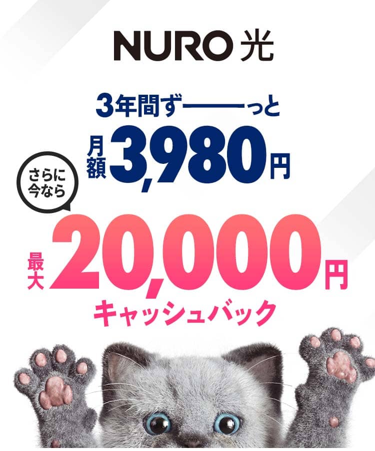 インターネットはNURO光