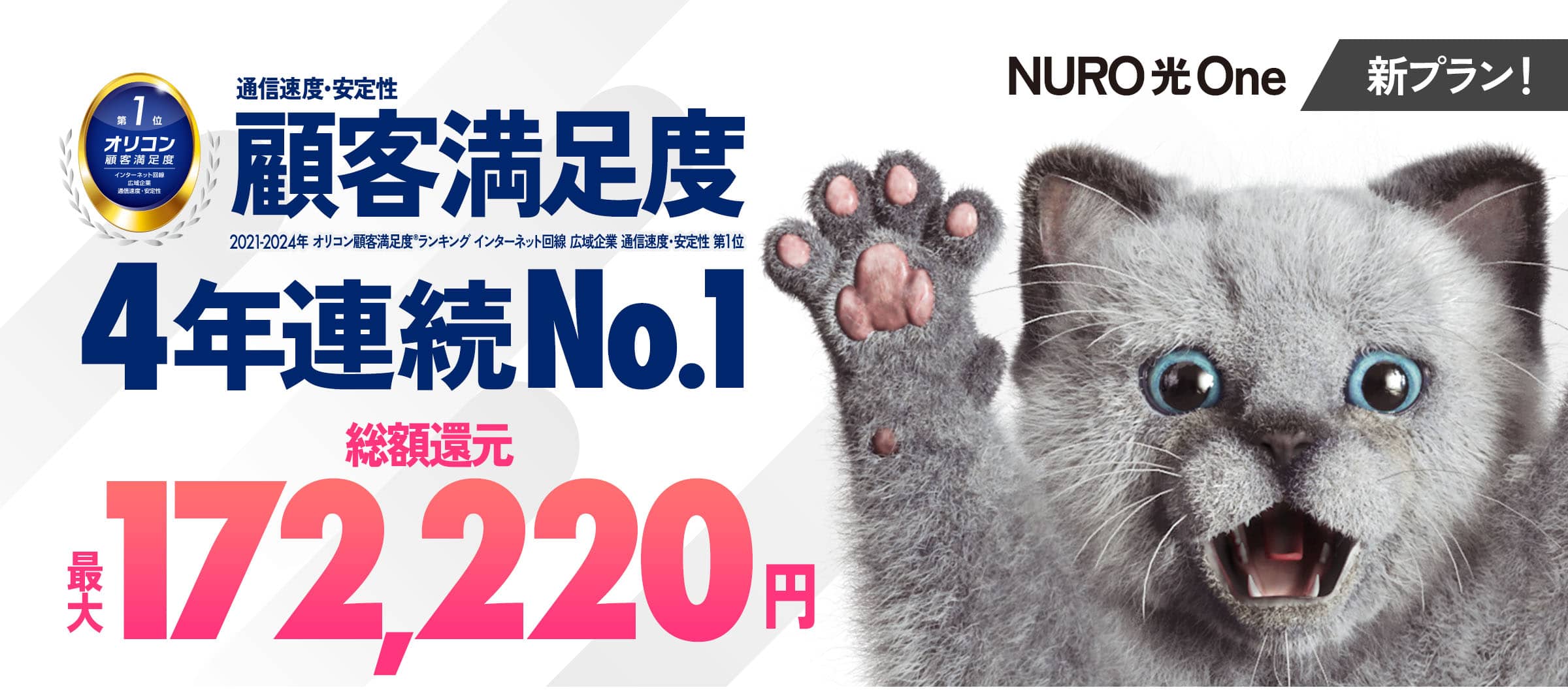 インターネットはNURO光