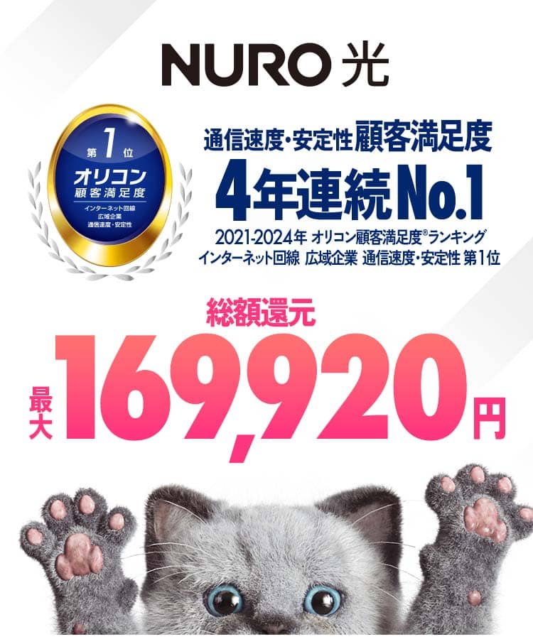インターネットはNURO光