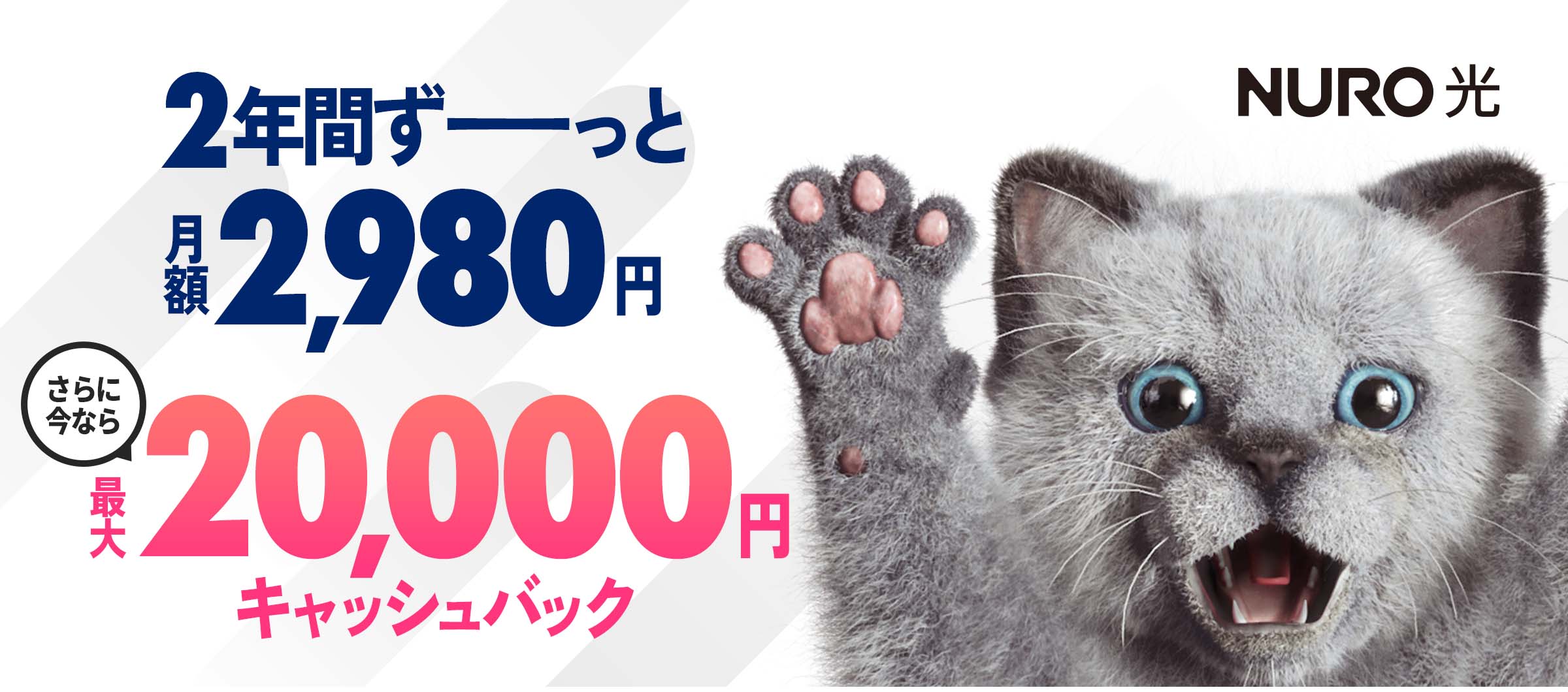 インターネットはNURO光