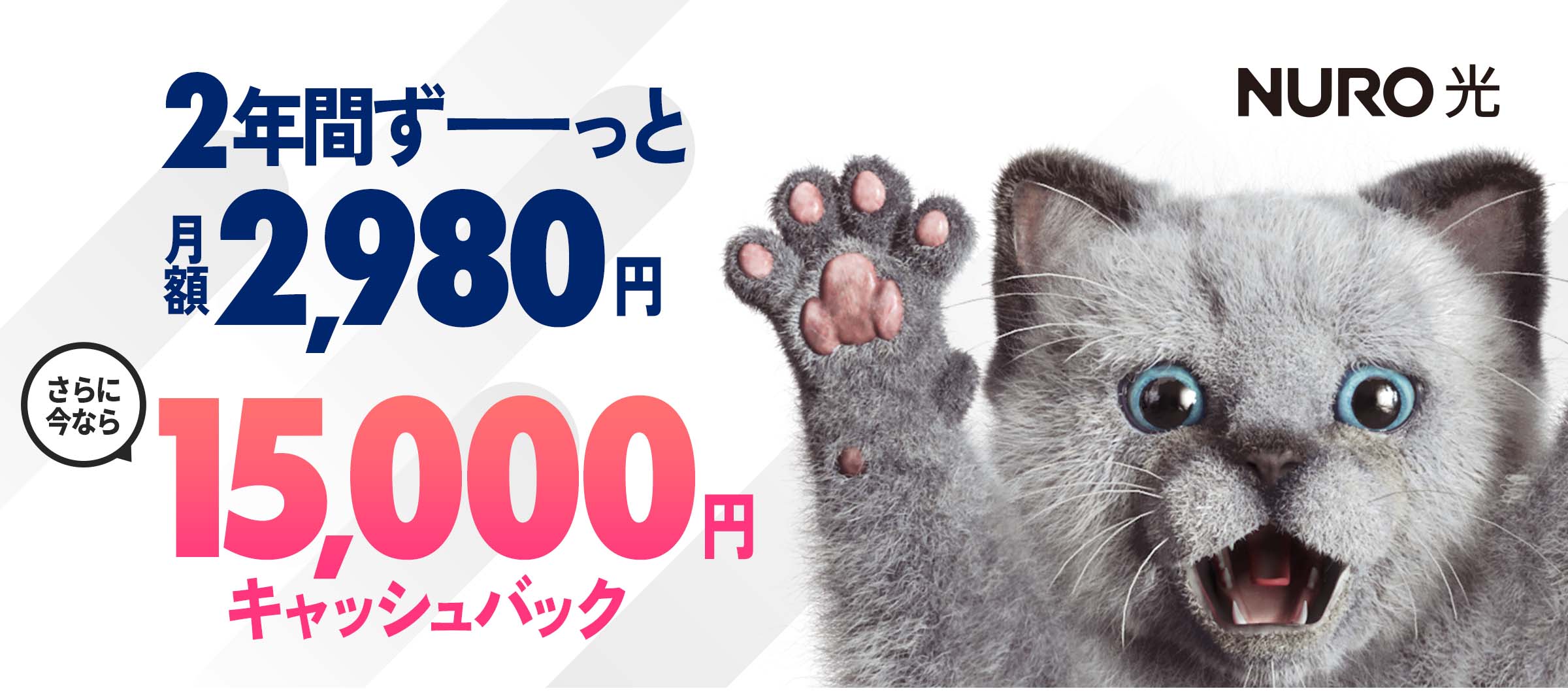 インターネットはNURO光
