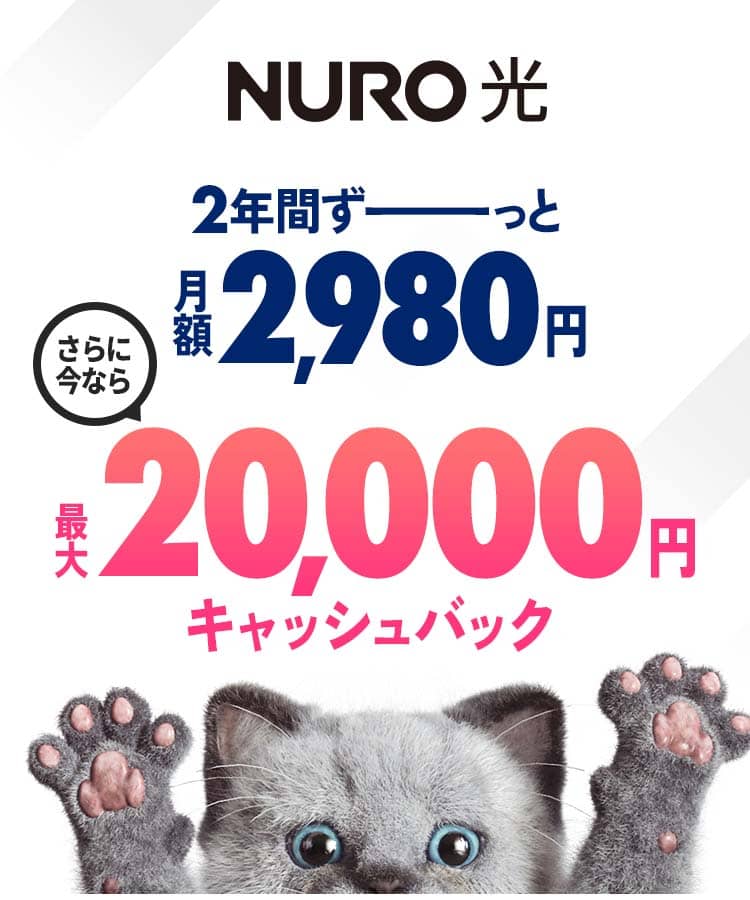 インターネットはNURO光