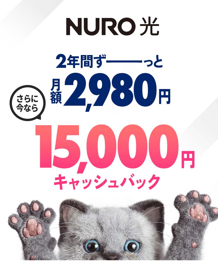 インターネットはNURO光