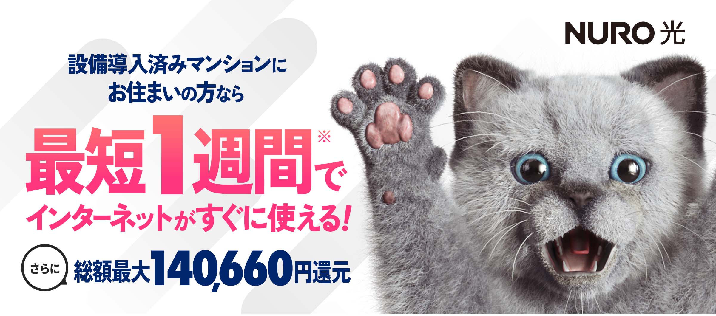 インターネットはNURO光