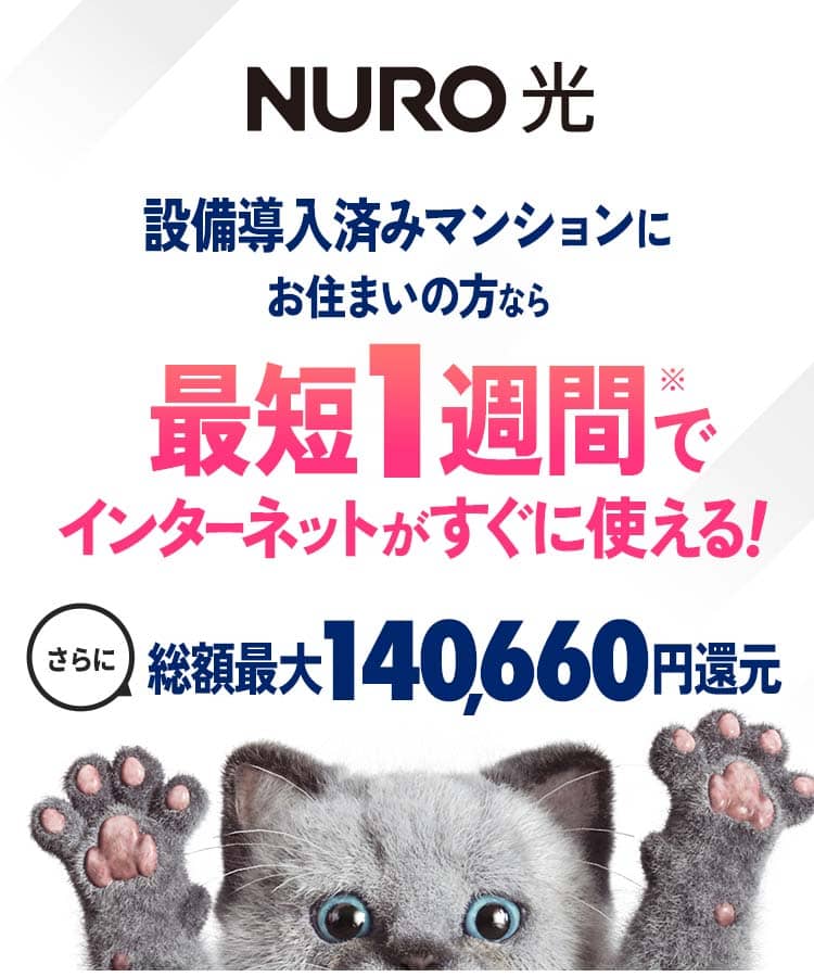 インターネットはNURO光