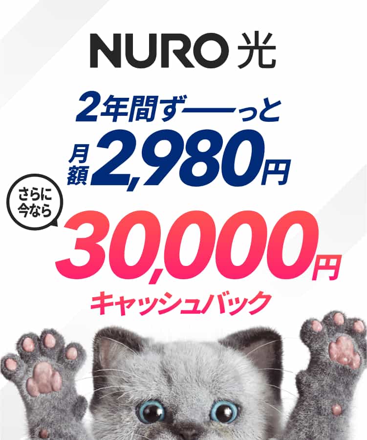 NURO 光　マンションプラン　2年間ずーっと月額2,980円　　さらに今なら30,000円キャッシュバック