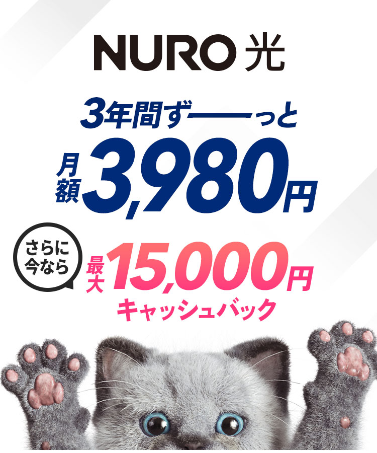 NURO 光　戸建てプラン　3年間ずーっと月額3,980円